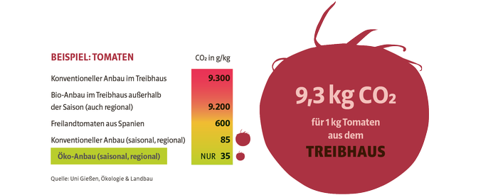 Jetzt beginnt die Zeit der klimafreundlichen Tomate